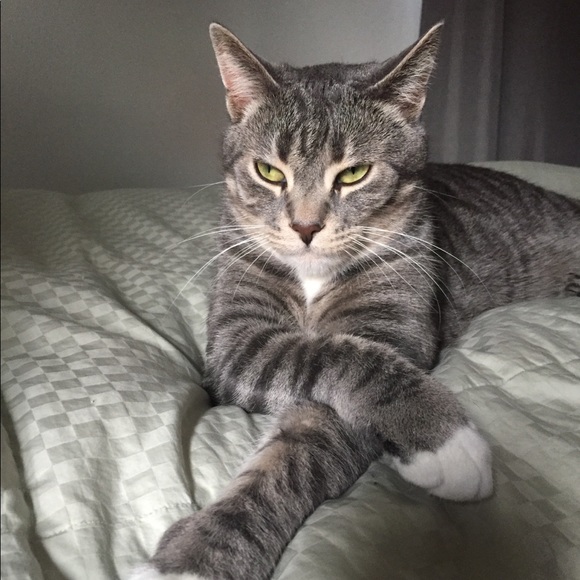 Hi! ๐๐ผIโm Katt. Offers always welcome! ๐ค - Picture 11 of 16